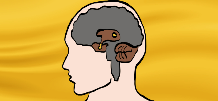 Enfermedades de las Glándula Hipófisis