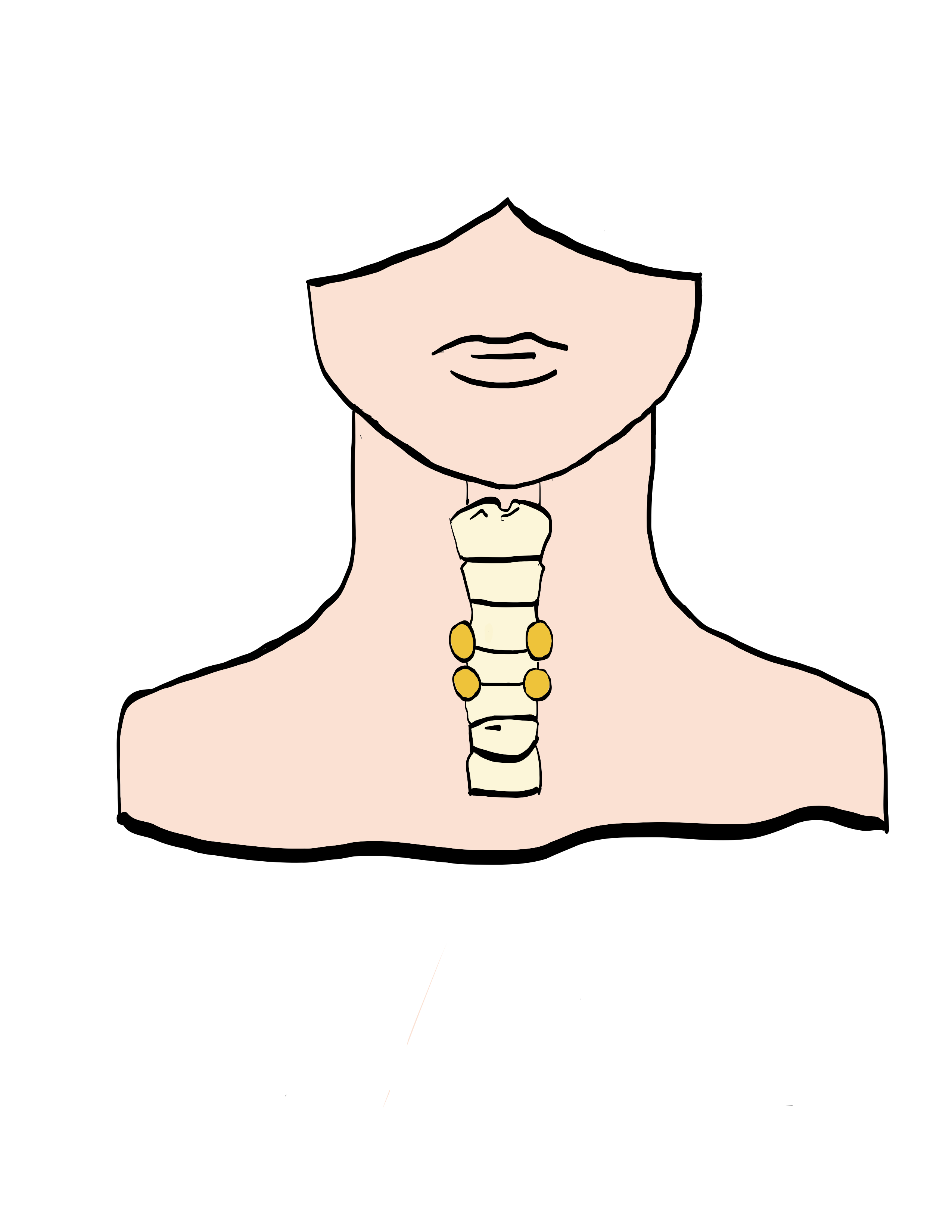 endocrinologo-tiroides